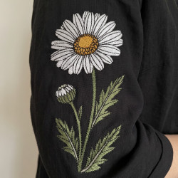 Daisy Flower