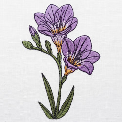Freesia Flower