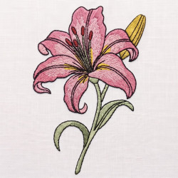 Lily Flower