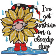 Sunshine On A Cloudy Day Gnome