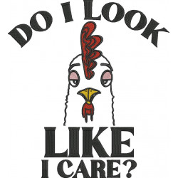 Do I Look Like I Care
