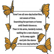 Butterflies poem