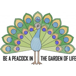  Colorful Peacock