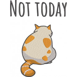 Not Today Tired Cat 