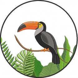 Toucan Bird