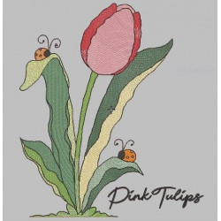 Pink Tulips