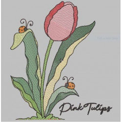 Pink Tulips