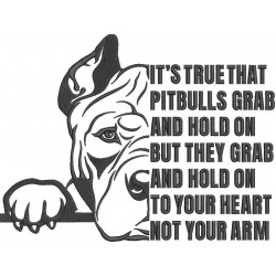 Pitbulls Grab Your Heart