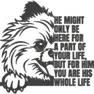 Pomeranian Dog Quote