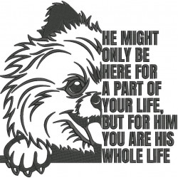 Pomeranian Dog Quote