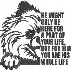 Pomeranian Dog Quote