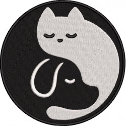 Cat And Dog