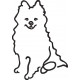 FR0126 Maltese Dog