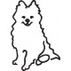 FR0126 Maltese Dog