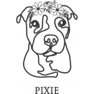 Pixie Dog Embroidery Design