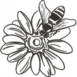 Calendula Flower With Bee Embroidery Design