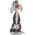 Scaredy Cat