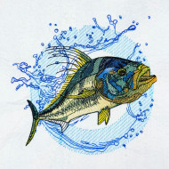 Roosterfish