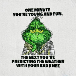 Funny Aging Quote
