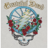 Grateful Dead Skull