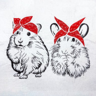 Bandana Hamsters