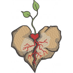 Heart