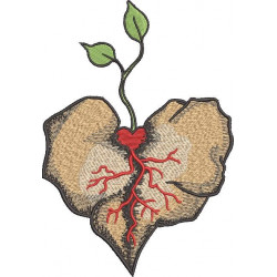 Heart
