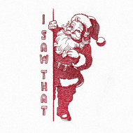 I Saw That Santa Claus