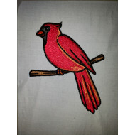 Northern Cardinal