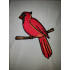 Northern Cardinal
