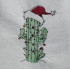 Cactus With Santa Hat