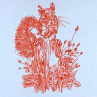 Squirrel Line Art
