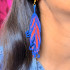 Colorful Feather FSL