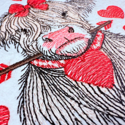 Valentine's Highland Cow