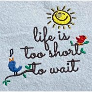 Life Is Too Short Quote