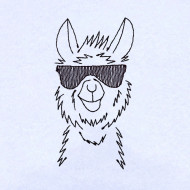 Llama With Glasses