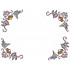 Birds With Rings Corner Border