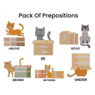 Pack of Preposition with Cat