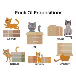 Pack of Preposition with Cat