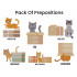 Pack of Preposition with Cat