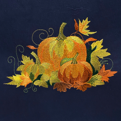 Pumpkin Patch