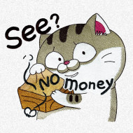 See No Money Funny Cat