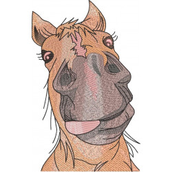 Silly Horse Face