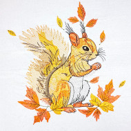 Squirrel In Autumn