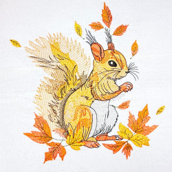 Squirrel In Autumn