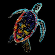 Colorful Turtle 