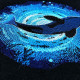 Whale In The Ocean Whale In The Ocean