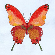 Musical Butterfly