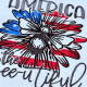 Bee-utiful America Bee-utiful America