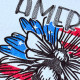 Bee-utiful America Bee-utiful America